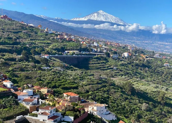 De Lujo En El فيلة